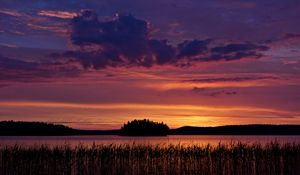 Preview wallpaper lake, reeds, glow, sunset, dark