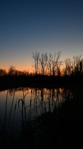 Preview wallpaper lake, reeds, grass, twilight, dark