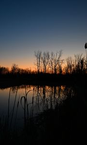 Preview wallpaper lake, reeds, grass, twilight, dark