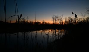 Preview wallpaper lake, reeds, grass, twilight, dark