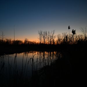 Preview wallpaper lake, reeds, grass, twilight, dark