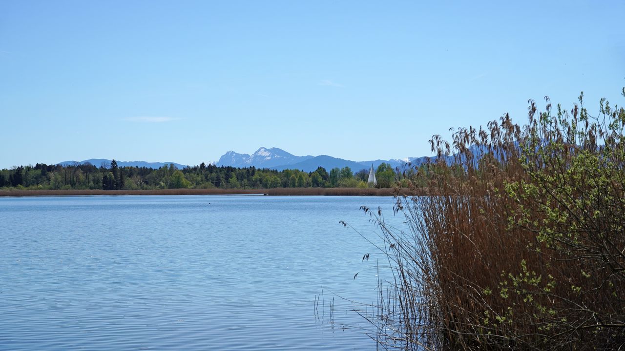 Wallpaper lake, reeds, nature, landscape