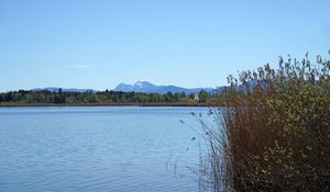 Preview wallpaper lake, reeds, nature, landscape