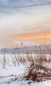 Preview wallpaper lake, reeds, snow, winter, nature, light