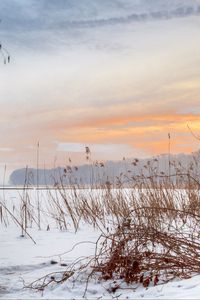 Preview wallpaper lake, reeds, snow, winter, nature, light