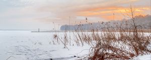 Preview wallpaper lake, reeds, snow, winter, nature, light