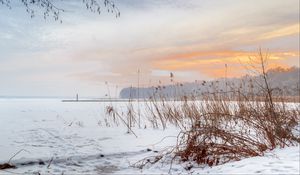 Preview wallpaper lake, reeds, snow, winter, nature, light