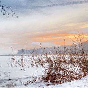 Preview wallpaper lake, reeds, snow, winter, nature, light