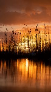 Preview wallpaper lake, reeds, sunset, dusk, dark