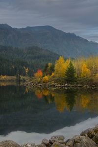 Preview wallpaper lake, reflection, forest, mountain, clouds, nature