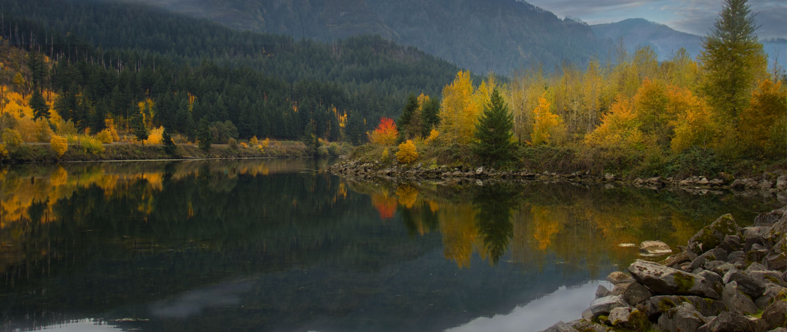 Download wallpaper 2560x1080 lake, reflection, forest, mountain, clouds ...