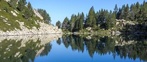 Preview wallpaper lake, reflection, stones, trees, landscape