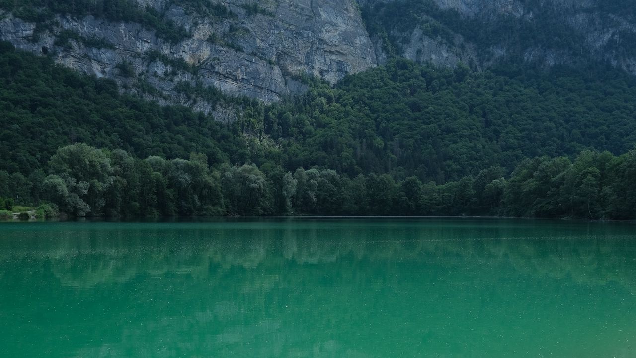 Wallpaper lake, reflection, trees, rocks