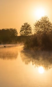 Preview wallpaper lake, reflection, trees, fog