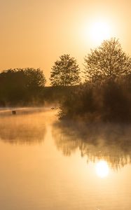 Preview wallpaper lake, reflection, trees, fog