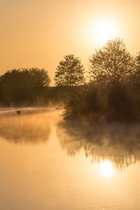 Preview wallpaper lake, reflection, trees, fog