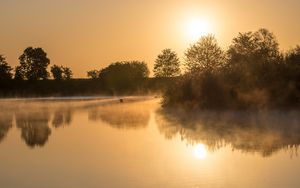 Preview wallpaper lake, reflection, trees, fog