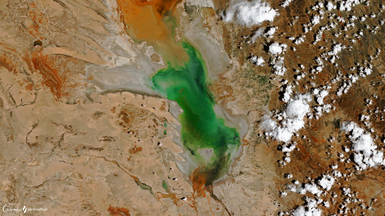 Wallpaper lake, relief, surface, aerial view, nature