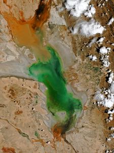 Preview wallpaper lake, relief, surface, aerial view, nature