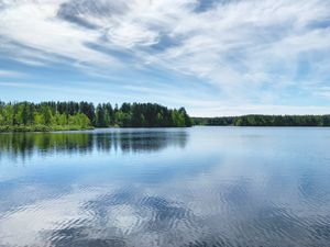 Preview wallpaper lake, ripples, trees, forest, sky, clouds, nature