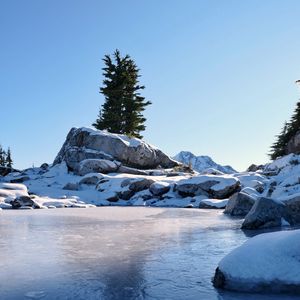 Preview wallpaper lake, rock, tree, snow, winter