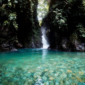 Preview wallpaper lake, rocks, stream, jungle, landscape, nature