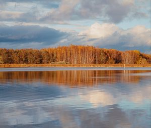 Preview wallpaper lake, shore, autumn, water, reflection, nature