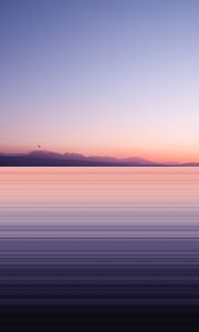 Preview wallpaper lake, shore, bird, dusk, long exposure