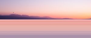 Preview wallpaper lake, shore, bird, dusk, long exposure