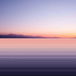 Preview wallpaper lake, shore, bird, dusk, long exposure