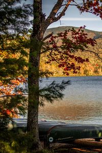 Preview wallpaper lake, shore, boats, island, nature