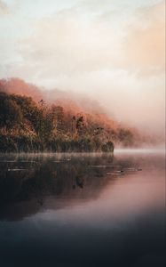 Preview wallpaper lake, shore, fog, morning, landscape