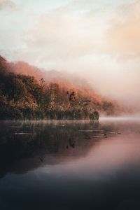 Preview wallpaper lake, shore, fog, morning, landscape