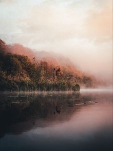 Preview wallpaper lake, shore, fog, morning, landscape