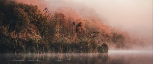 Preview wallpaper lake, shore, fog, morning, landscape