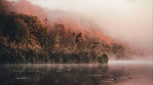 Preview wallpaper lake, shore, fog, morning, landscape