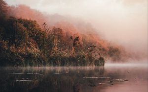 Preview wallpaper lake, shore, fog, morning, landscape