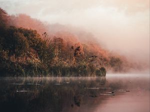 Preview wallpaper lake, shore, fog, morning, landscape