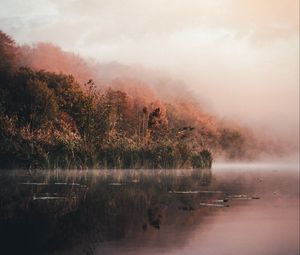 Preview wallpaper lake, shore, fog, morning, landscape