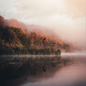 Preview wallpaper lake, shore, fog, morning, landscape