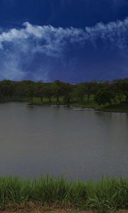 Preview wallpaper lake, shore, grass, trees, sky, clouds, water, nature