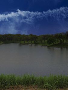 Preview wallpaper lake, shore, grass, trees, sky, clouds, water, nature