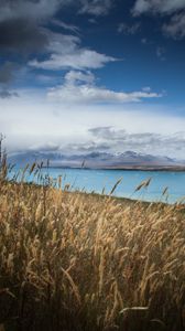 Preview wallpaper lake, shore, grass, field, landscape