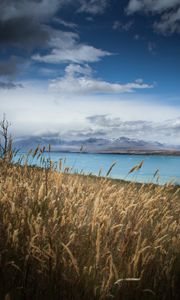 Preview wallpaper lake, shore, grass, field, landscape