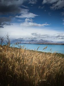 Preview wallpaper lake, shore, grass, field, landscape