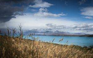 Preview wallpaper lake, shore, grass, field, landscape