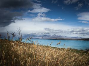 Preview wallpaper lake, shore, grass, field, landscape