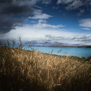 Preview wallpaper lake, shore, grass, field, landscape