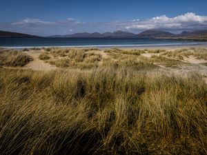 Preview wallpaper lake, shore, grass, sand, landscape