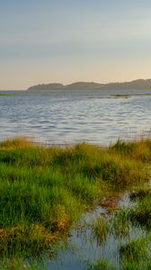 Preview wallpaper lake, shore, grass, water, nature